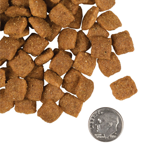 Fromm Gold Dry Dog Food - Chicken - 5lb Bag